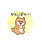 むちっと柴犬（個別スタンプ：25）