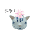 有田焼 catsスタンプ (FLOWERS arita)（個別スタンプ：10）
