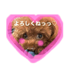 めたろうさん（個別スタンプ：1）