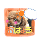 めたろうさん（個別スタンプ：6）