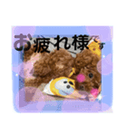 めたろうさん（個別スタンプ：7）