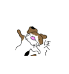 ねこヘコ（個別スタンプ：6）