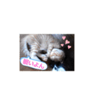 *YAMA*（個別スタンプ：9）