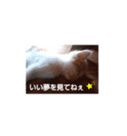 *YAMA*（個別スタンプ：14）
