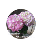笑顔の咲く花＊（個別スタンプ：1）