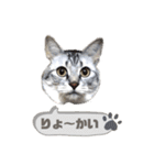 みぃ＆ちゃい＆ライム 510（個別スタンプ：2）