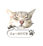 みぃ＆ちゃい＆ライム 510（個別スタンプ：4）