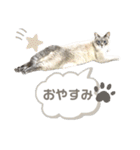 みぃ＆ちゃい＆ライム 510（個別スタンプ：7）