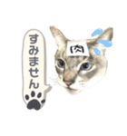 みぃ＆ちゃい＆ライム 510（個別スタンプ：13）