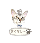 みぃ＆ちゃい＆ライム 510（個別スタンプ：15）