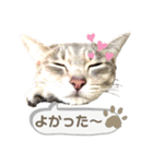 みぃ＆ちゃい＆ライム 510（個別スタンプ：24）