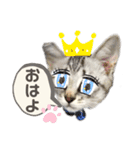 みぃ＆ちゃい＆ライム 510（個別スタンプ：32）