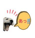 ペキチワぶんた4（修正前）（個別スタンプ：1）