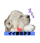 ペキチワぶんた4（修正前）（個別スタンプ：3）