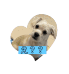 ペキチワぶんた4（修正前）（個別スタンプ：4）