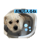 ペキチワぶんた4（修正前）（個別スタンプ：7）