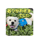 ペキチワぶんた4（修正前）（個別スタンプ：8）
