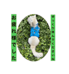 ペキチワぶんた4（修正前）（個別スタンプ：9）