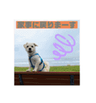 ペキチワぶんた4（修正前）（個別スタンプ：10）