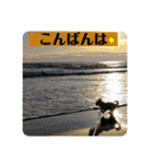 ペキチワぶんた4（修正前）（個別スタンプ：16）