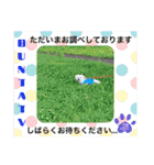 ペキチワぶんた4（修正前）（個別スタンプ：20）