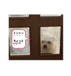 ペキチワぶんた4（修正前）（個別スタンプ：22）
