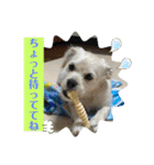 ペキチワぶんた4（修正前）（個別スタンプ：23）