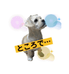 ペキチワぶんた4（修正前）（個別スタンプ：27）