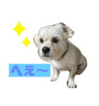 ペキチワぶんた4（修正前）（個別スタンプ：32）