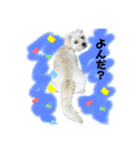ペキチワぶんた4（修正前）（個別スタンプ：38）