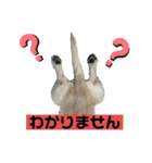 ペキチワぶんた4（修正前）（個別スタンプ：39）