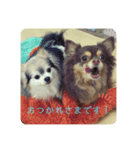 えだえだあぽぽ（個別スタンプ：1）