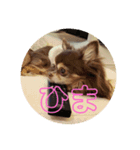えだえだあぽぽ（個別スタンプ：2）