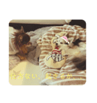 えだえだあぽぽ（個別スタンプ：3）