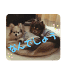えだえだあぽぽ（個別スタンプ：6）