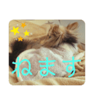 えだえだあぽぽ（個別スタンプ：7）