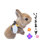 うさぎのてとまる。2（個別スタンプ：7）