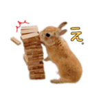 うさぎのてとまる。2（個別スタンプ：15）