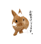 うさぎのてとまる。2（個別スタンプ：28）