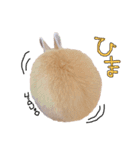 うさぎのてとまる。2（個別スタンプ：30）