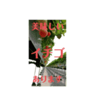 イチゴ農家（個別スタンプ：3）