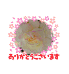 花がすき（個別スタンプ：6）
