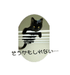 ニャンコギャング（個別スタンプ：13）