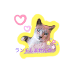 チャーミイ フェアリーズ（個別スタンプ：2）