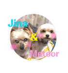 Jina ＆ Meteor 4 ver.2（個別スタンプ：9）