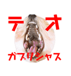 Jina ＆ Meteor 4 ver.2（個別スタンプ：11）