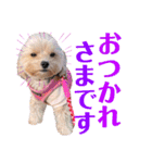 Jina ＆ Meteor 4 ver.2（個別スタンプ：19）