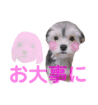Jina ＆ Meteor 4 ver.2（個別スタンプ：23）