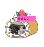 トイプーめいちゃんの日常（個別スタンプ：7）