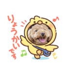 COCOたんの毎日（個別スタンプ：4）